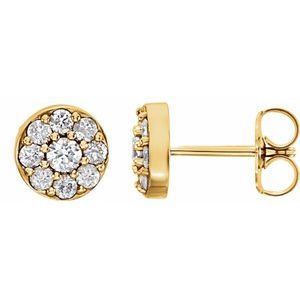 14K Yellow 3/8 CTW Natural Diamond Earrings