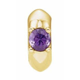 14K Yellow Imitation Amethyst Birth of a Child® February Charm/Pendant