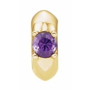 14K Yellow Imitation Amethyst Birth of a Child® February Charm/Pendant