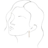 14K Rose  1/5 CTW Natural Diamond Chain Dangle Earrings