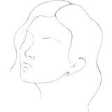 14K Rose .03 CTW Natural Diamond Star Earrings