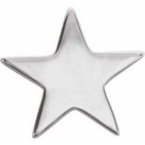 14K White 6.2 mm Star Friction Post Earring