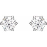 Platinum 1/2 CTW Natural Diamond Stud Earrings