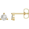 14K Yellow 1/3 CTW Rose-Cut Natural Diamond Earrings Siddiqui Jewelers