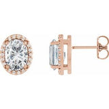 14K Rose Stuller Lab-Grown Moissanite & .04 CTW Natural Diamond Halo-Style Earrings Siddiqui Jewelers