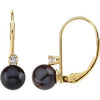 14K Yellow Akoya Cultured Pearl & 1/10 CTW Diamond Lever Back Earrings - Siddiqui Jewelers