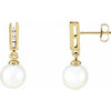 14K Yellow Akoya Cultured Pearl & 1/8 CTW Diamond Earrings - Siddiqui Jewelers