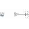 14K White 1/3 CTW Lab-Grown Diamond 4-Prong Stud Earrings Siddiqui Jewelers