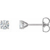 14K White 3/4 CTW Natural Diamond 4-Prong Cocktail-Style Earrings-Siddiqui Jewelers