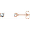 14K Rose 1/4 CTW Lab-Grown Diamond 4-Prong Stud Earrings Siddiqui Jewelers