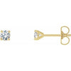 14K Yellow 1/4 CTW Natural Diamond 4-Prong Cocktail-Style Earrings-Siddiqui Jewelers