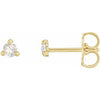 14K Yellow .04 CTW Rose-Cut Natural Diamond Stud Earrings Siddiqui Jewelers