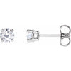 14K White 4 mm Stuller Lab-Grown Moissanite Stud Earrings Siddiqui Jewelers