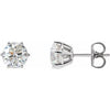 14K White 2 CTW Diamond 6-Prong Stud Earrings-Siddiqui Jewelers