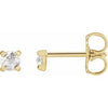 14K Yellow 1/8 CTW Rose-Cut Natural Diamond 4-Prong Claw Earrings Siddiqui Jewelers