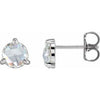 Platinum 1 CTW Rose-Cut Natural Diamond Stud Earrings Siddiqui Jewelers