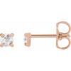 14K Rose 1/8 CTW Rose-Cut Natural Diamond 4-Prong Claw Earrings Siddiqui Jewelers