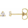 14K Yellow .08 CTW Rose-Cut Natural Diamond Stud Earrings Siddiqui Jewelers