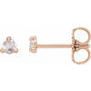 14K Rose .08 CTW Rose-Cut Natural Diamond Stud Earrings Siddiqui Jewelers