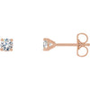 14K Rose 1/5 CTW Diamond 4-Prong Cocktail-Style Earrings - Siddiqui Jewelers